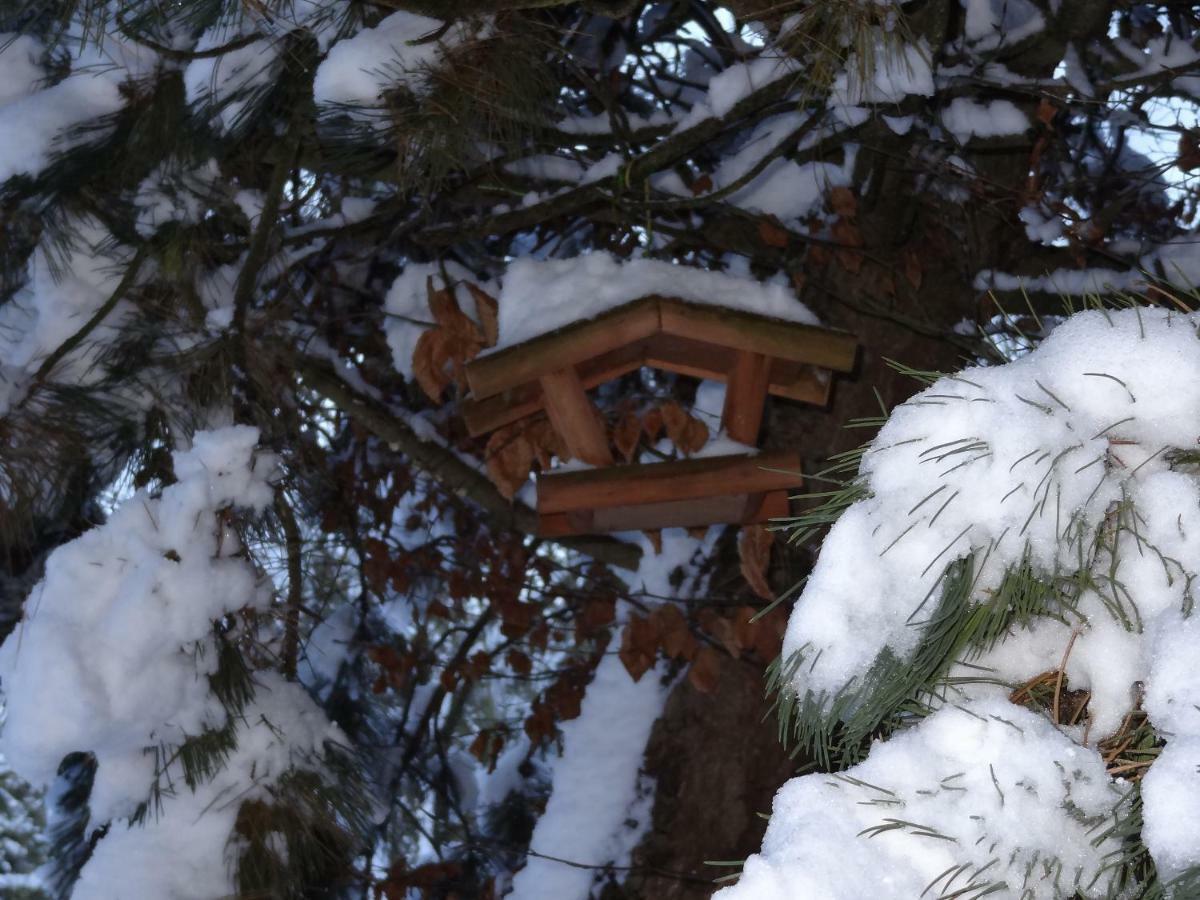 Bed and Breakfast La Fermette Blanche Nadrin Exteriér fotografie